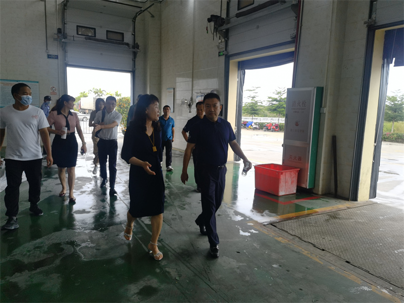 &#38647;&#36895;&#45;&#38647;&#36895;&#65288;&#20013;&#22269;&#65289;